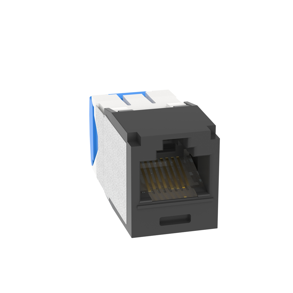 Image of Panduit CJE6X88TGBL