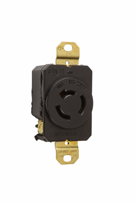 Image of Pass & Seymour 7310