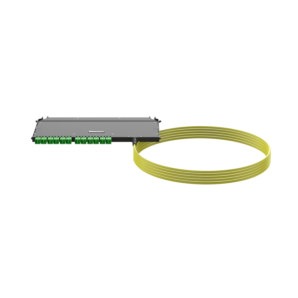 Image of Panduit F9UYPZRNNSNF050