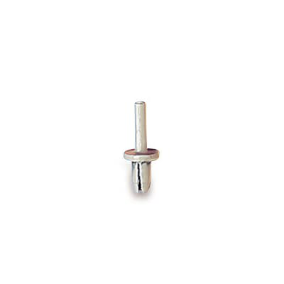 Image of ABB 05216