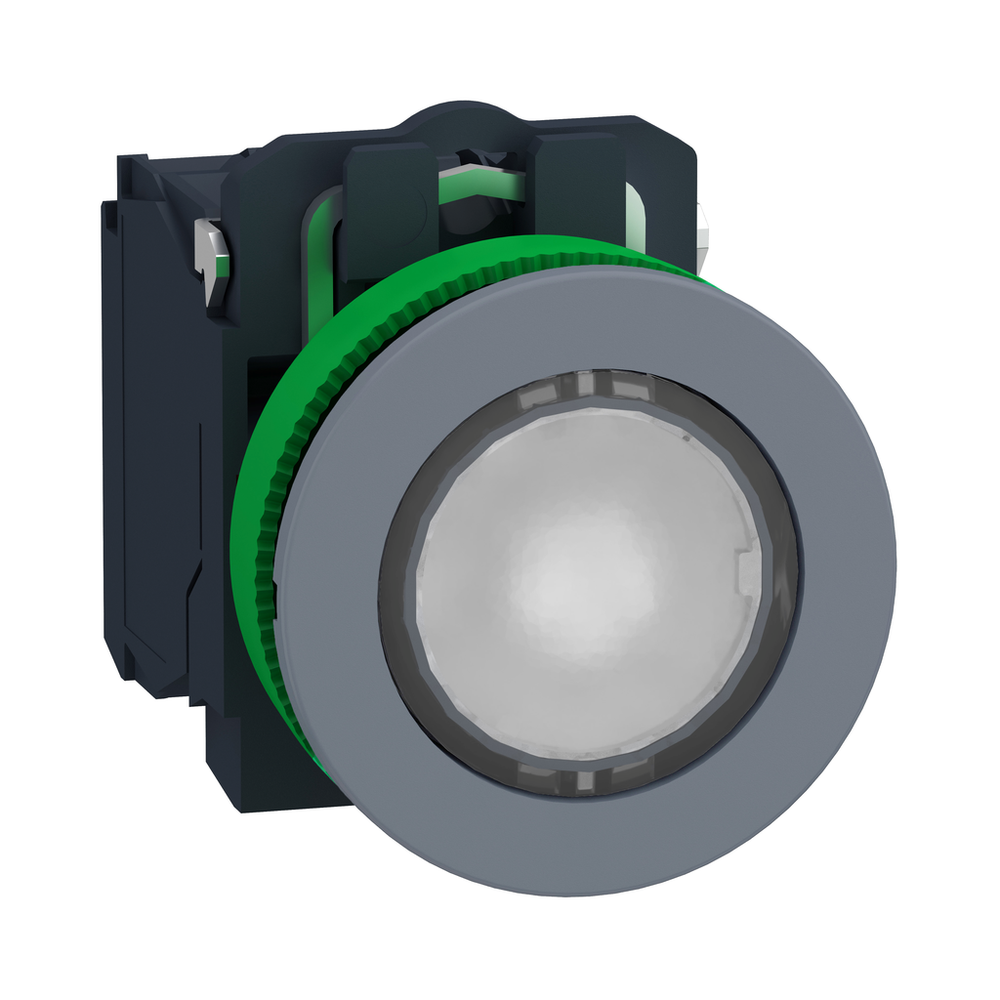 Image of Schneider Electric XB5FWCUST04