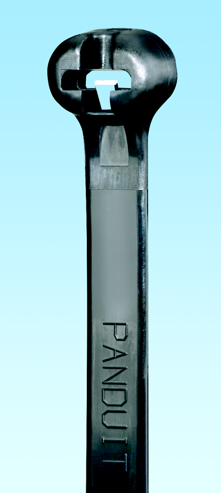 Image of Panduit BT2S-M20