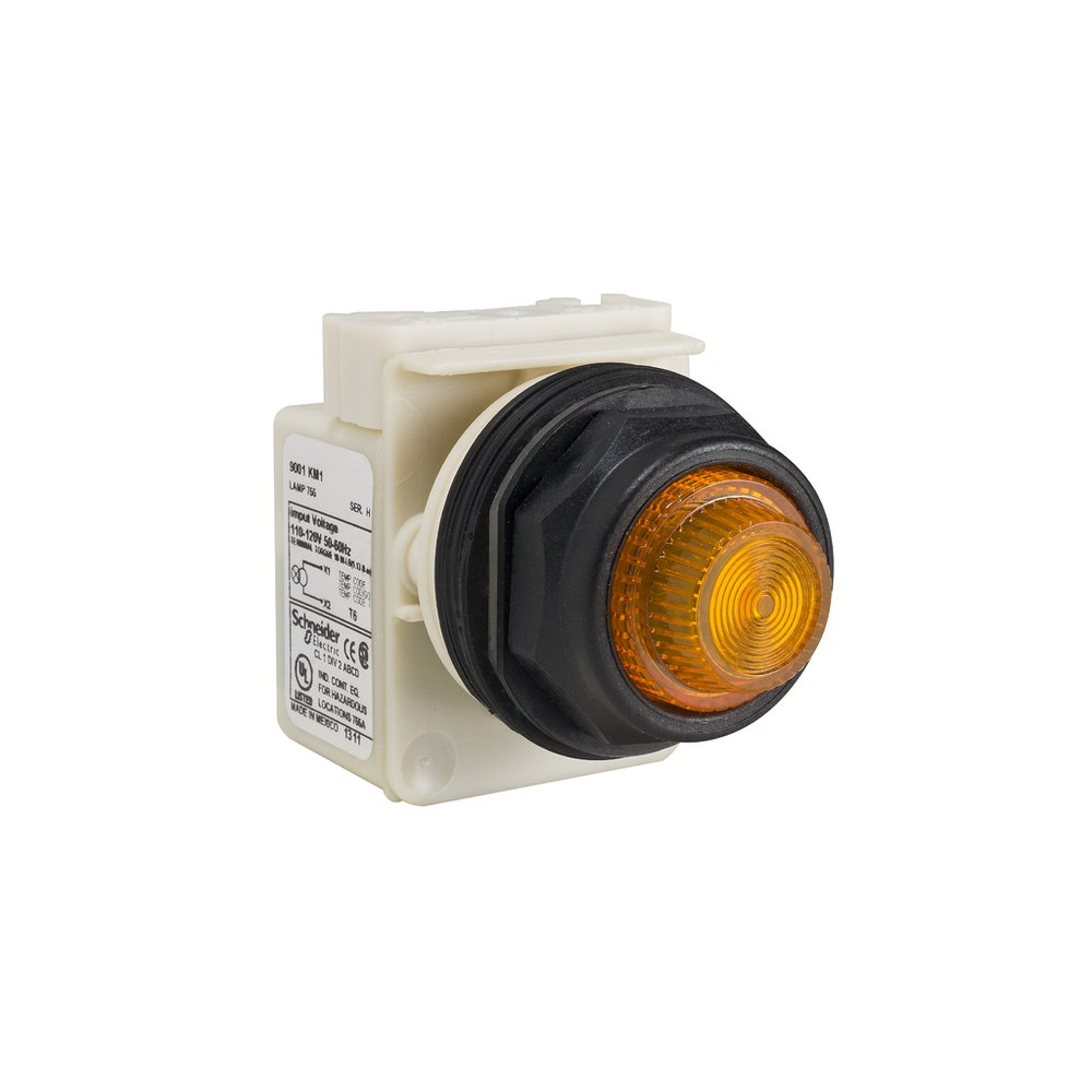 Image of Schneider Electric 9001SKP1A31