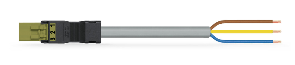 Image of WAGO 891-8993/206-205