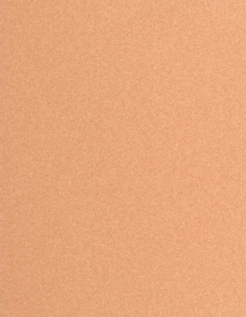 Image of 3M 7000044839