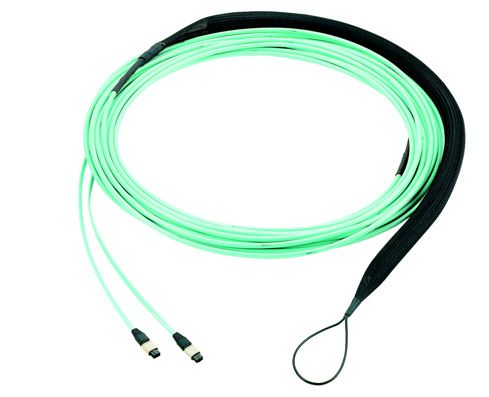 Image of Panduit FZXSL5E5EAAM010
