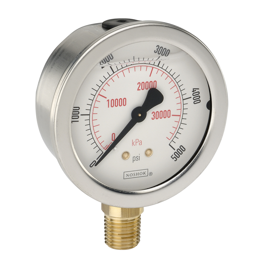 Image of NOSHOK 25-901-600-psi/kPa