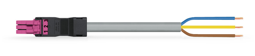 Image of WAGO 891-8993/105-207