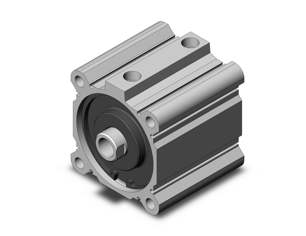 Image of SMC CDQ2A100TF-50DZ