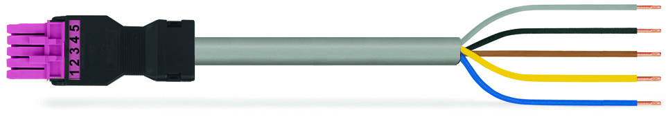 Image of WAGO 891-8995/106-207