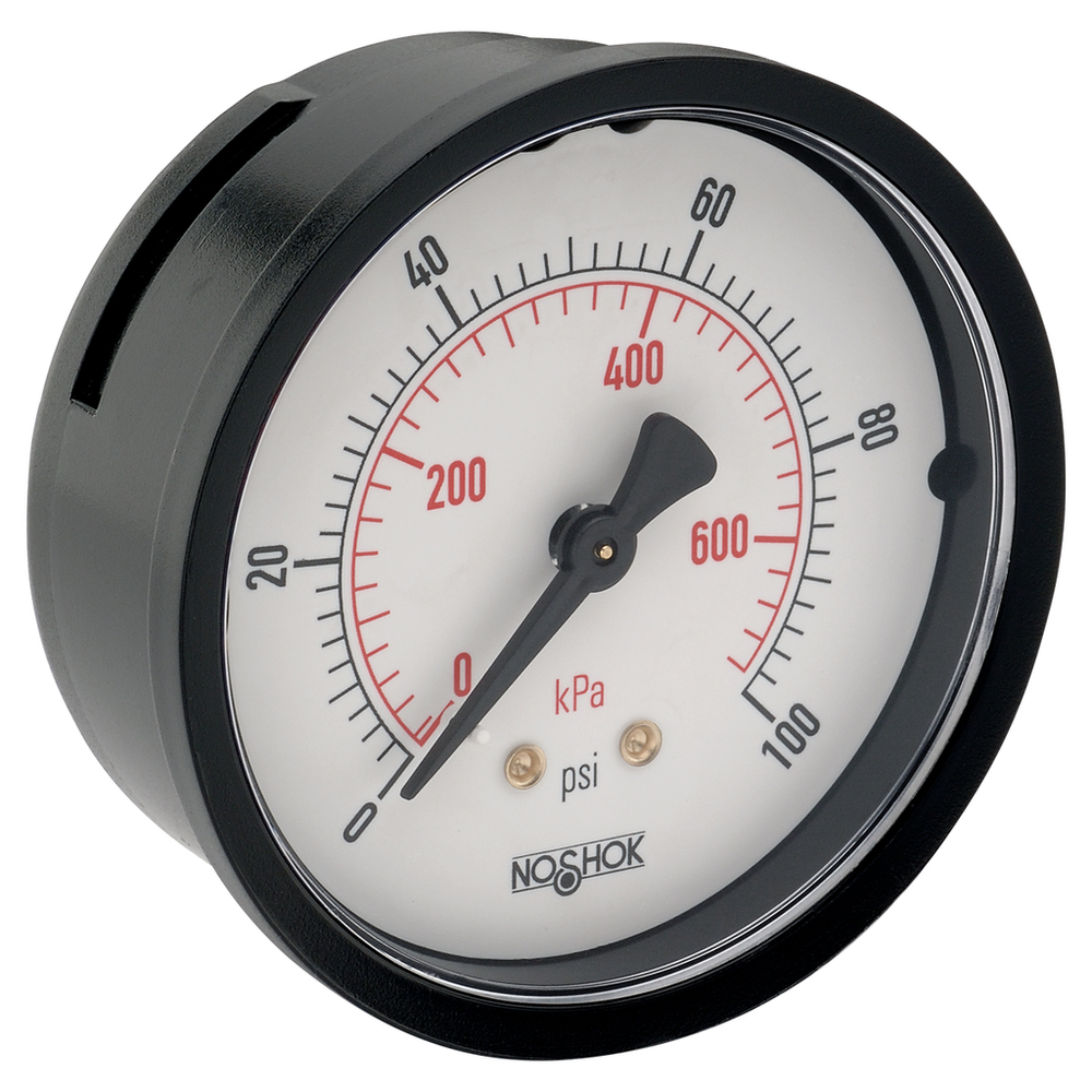 Image of NOSHOK 25-110-100-psi/kPa