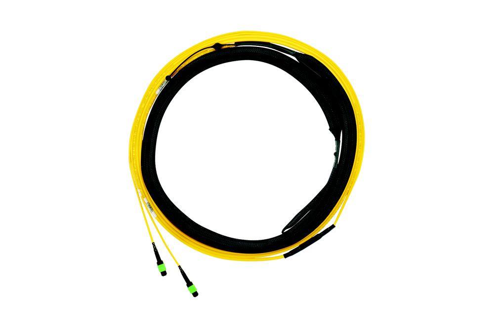 Image of Panduit F9TYL5E5EAAM040