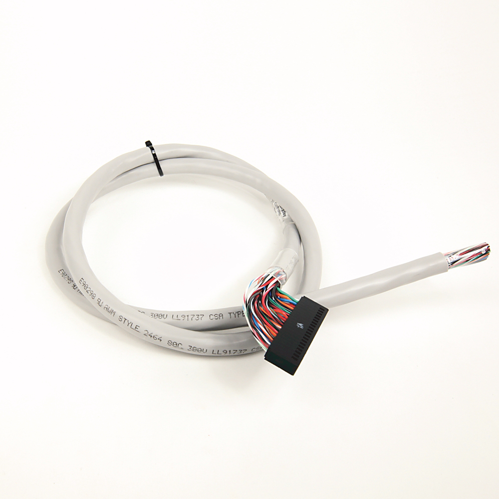 Image of Allen-Bradley 1492-CAB010P62
