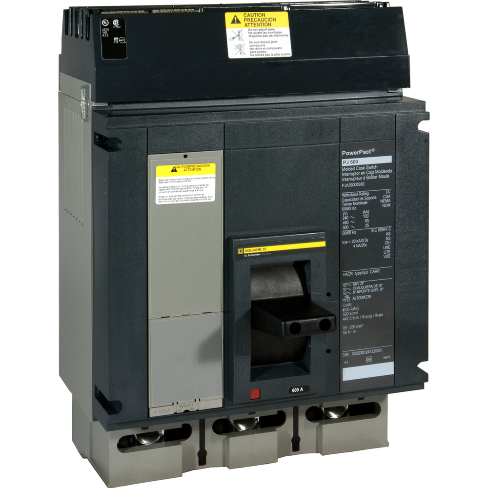 Image of Schneider Electric PJA36000S60