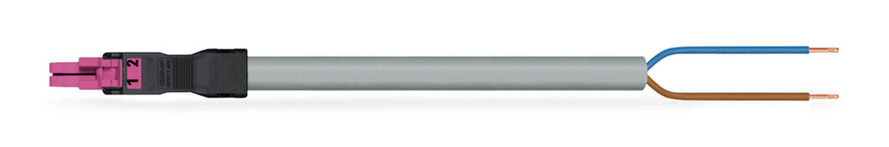 Image of WAGO 891-8992/105-307