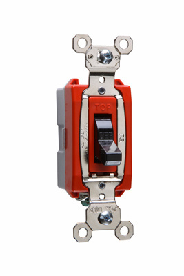 Image of Pass & Seymour PS20AC1