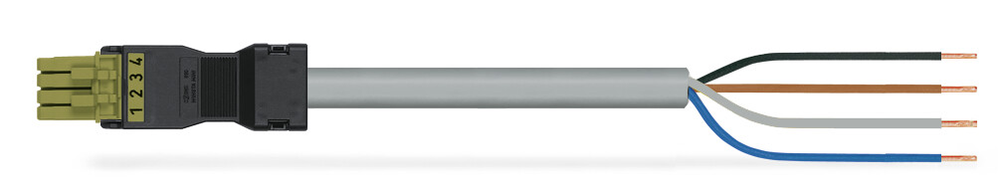 Image of WAGO 891-8994/105-305