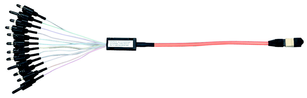 Image of Panduit F612D3-5M10Y