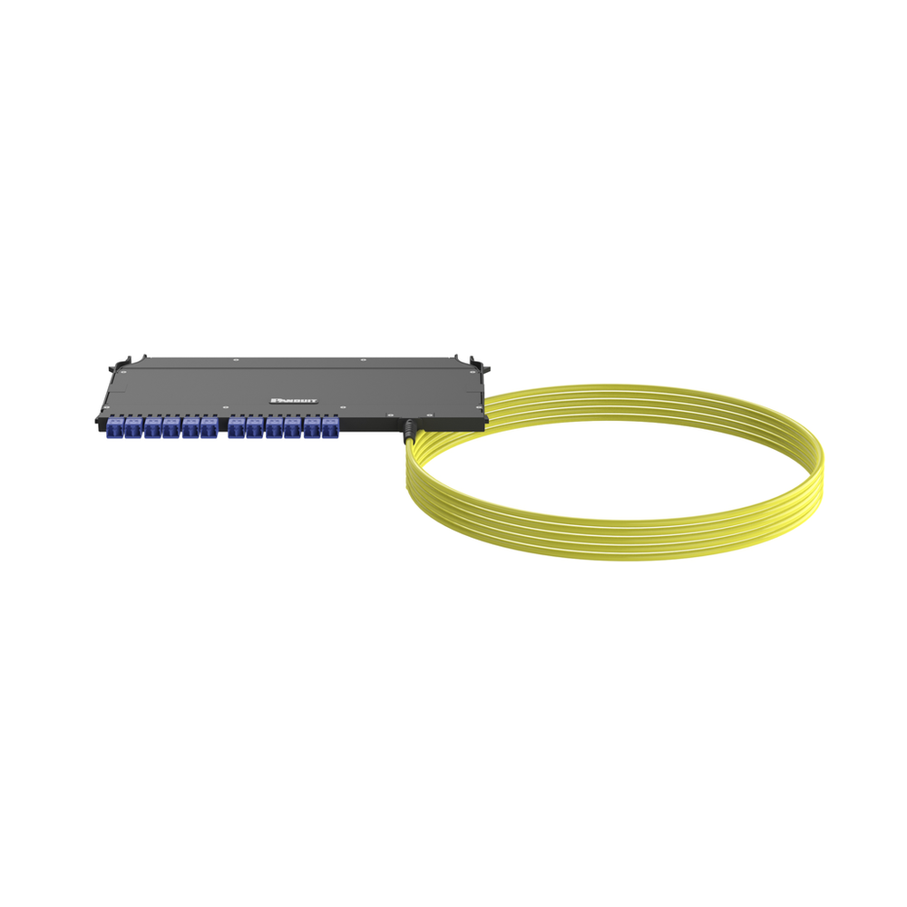 Image of Panduit F9UYBXRNNSNM015