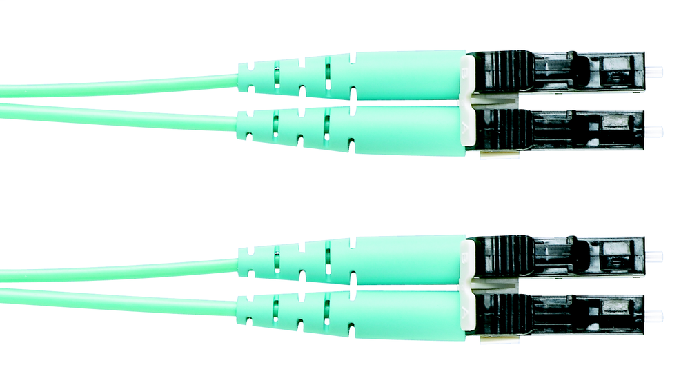 Image of Panduit FZ2ELLNLNSNM006