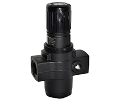 Image of Norgren R17-800-RNLG