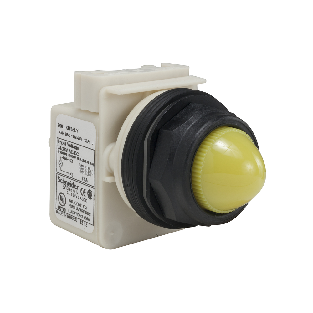 Image of Schneider Electric 9001SKP35LYY9