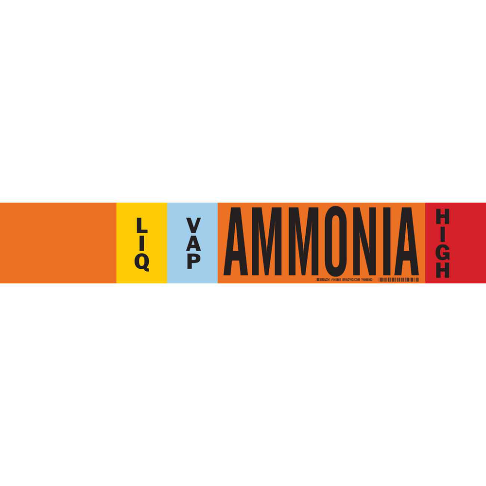 Image of Brady 145885