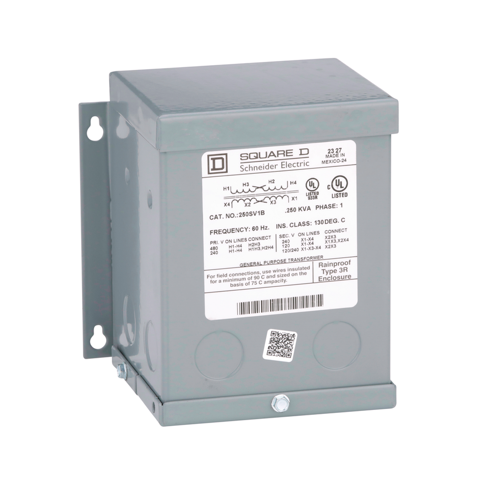 Image of Schneider Electric 250SV1B