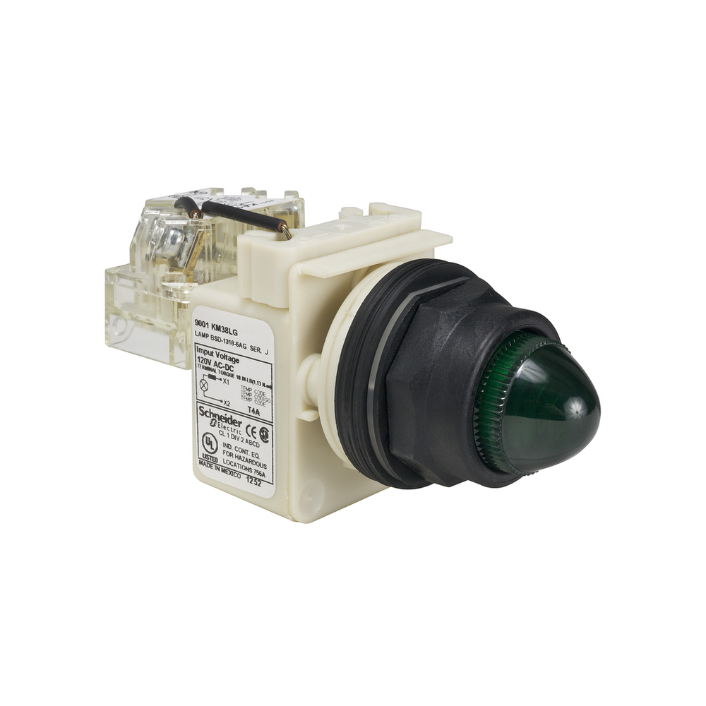 Image of Schneider Electric 9001SKT38LGG9